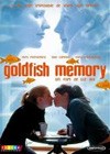 Goldfish Memory (2003)6.jpg